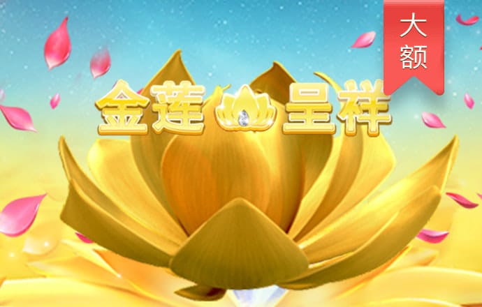蜘蛛回巢